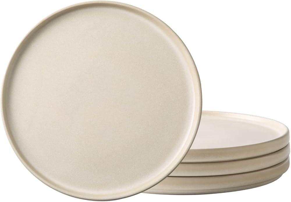 AmorArc Stoneware Dinner Plates Set of 4, 10.25 Inch Reactive Matte Glaze Ceramic Plates Set, Mod... | Amazon (US)