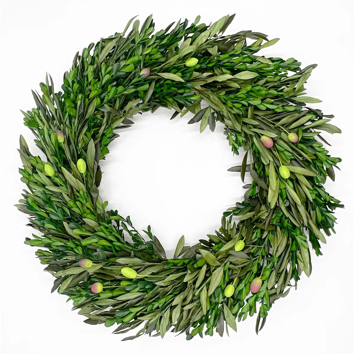 21" Dried Preserved Olive Leaf and Boxwood Wreath | Wayfair North America