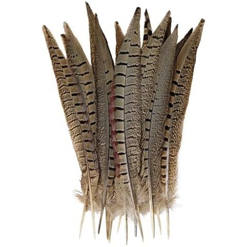 20pcs Male Pheasant Feather Natural Ringneck Tails Feathers 12-14inch 30-35cm for Crafts Home Wed... | Amazon (US)