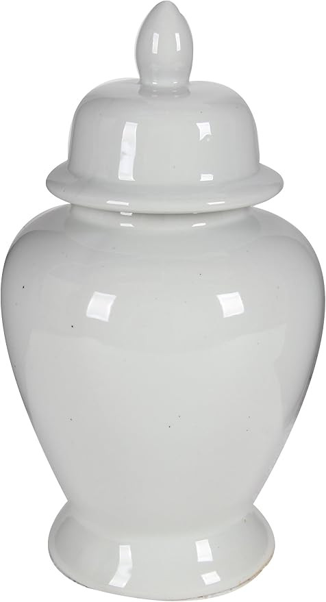 A&B Home Ginger Jar, 10 by 17-Inch | Amazon (US)