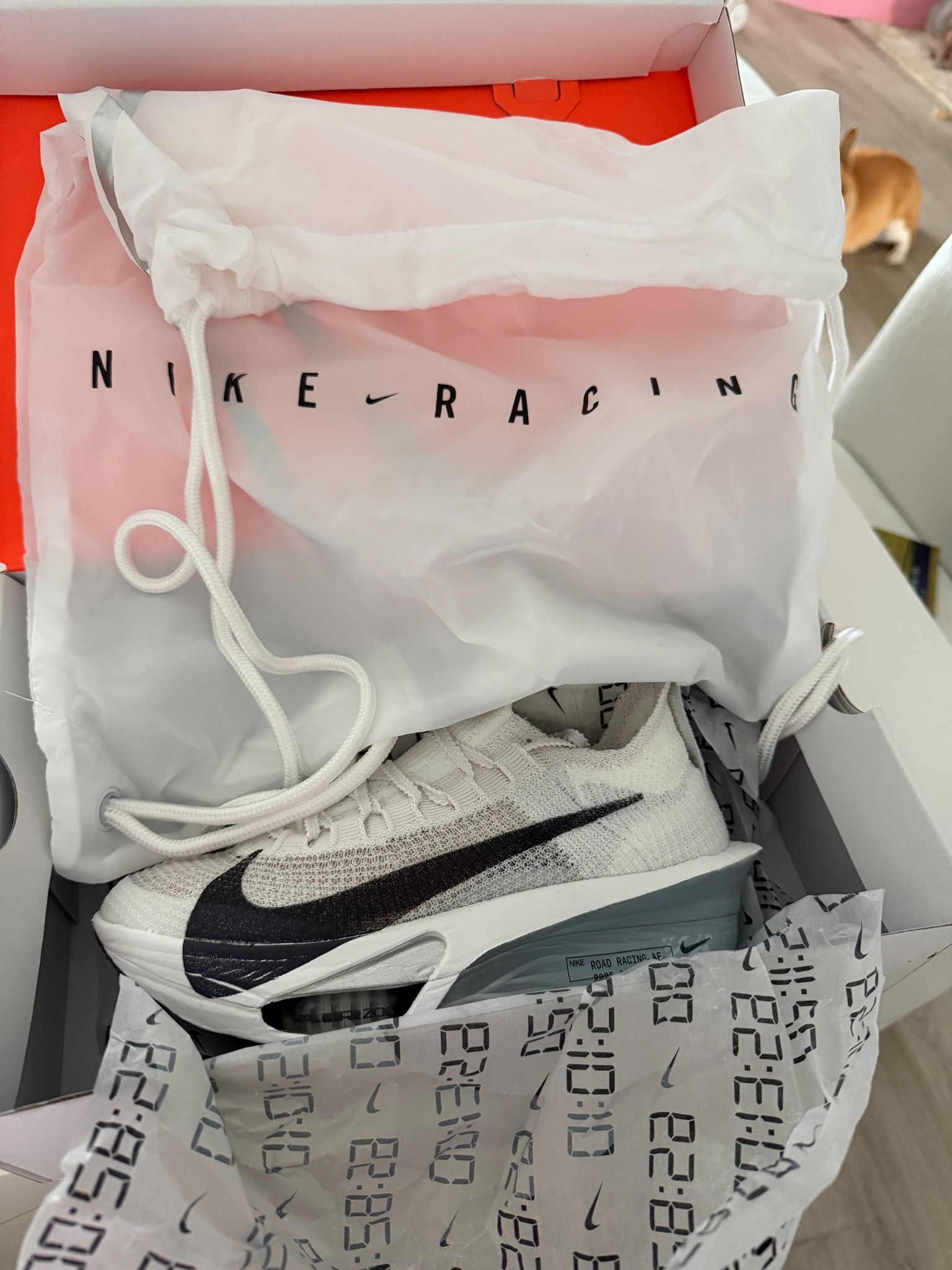 LFGGGG 👟 🔥 

#LTKfitnessgoals #LTKGiftGuide #LTKActive