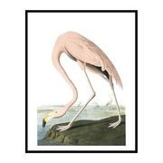 Vintage Flamingo on the Rock | Urban Garden Prints