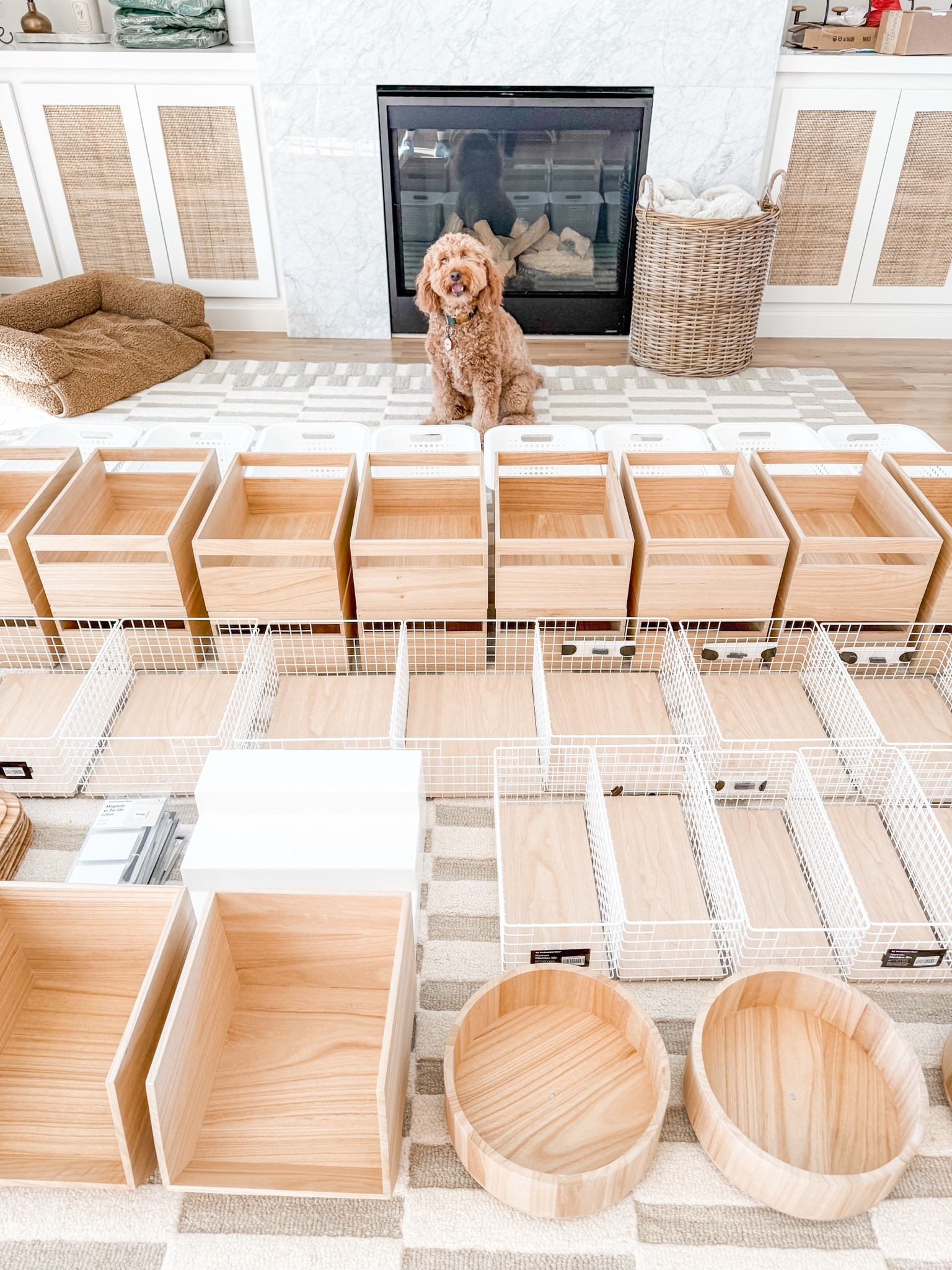 These pantry products get Remy’s paw of approval! 🐾 She knows good taste when she sees it—and so do we. 🐶✨

#DogApproved #PantryPerfection #ReclaimYourSpace

#LTKFindsUnder100 #LTKHome #LTKFindsUnder50