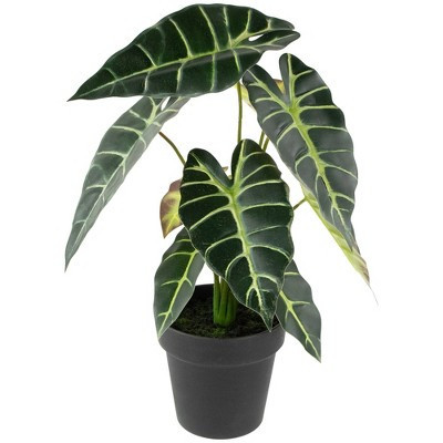 Northlight Real Touch™ Artificial Taro Plant in Black Pot 18" | Target