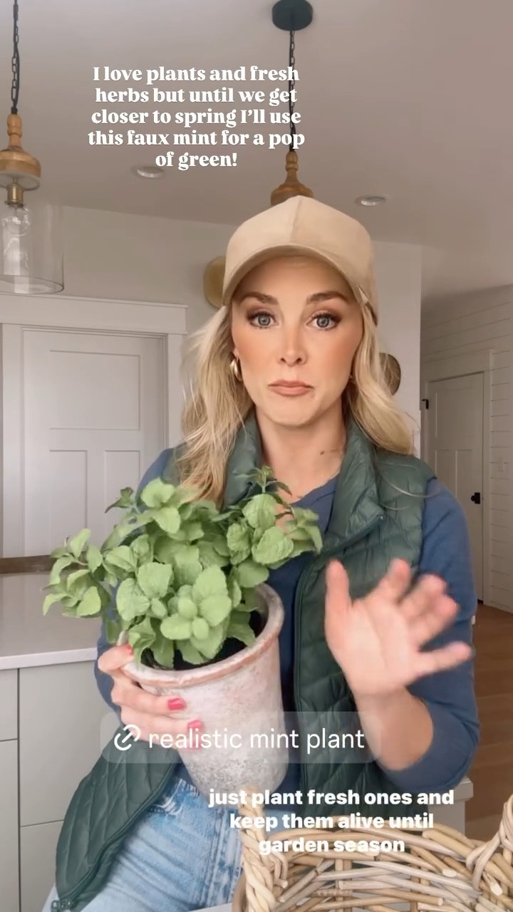 It’s hard to find faux herbs that look decent! Until I can grow fresh again this is a fun way to add a pop of green to my kitchen. 