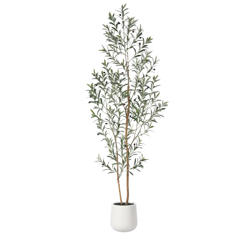 Adcock Artificial Olive Tree with White Planter, Tall Faux Olive Trees with Natural Wood Trunk | Wayfair North America