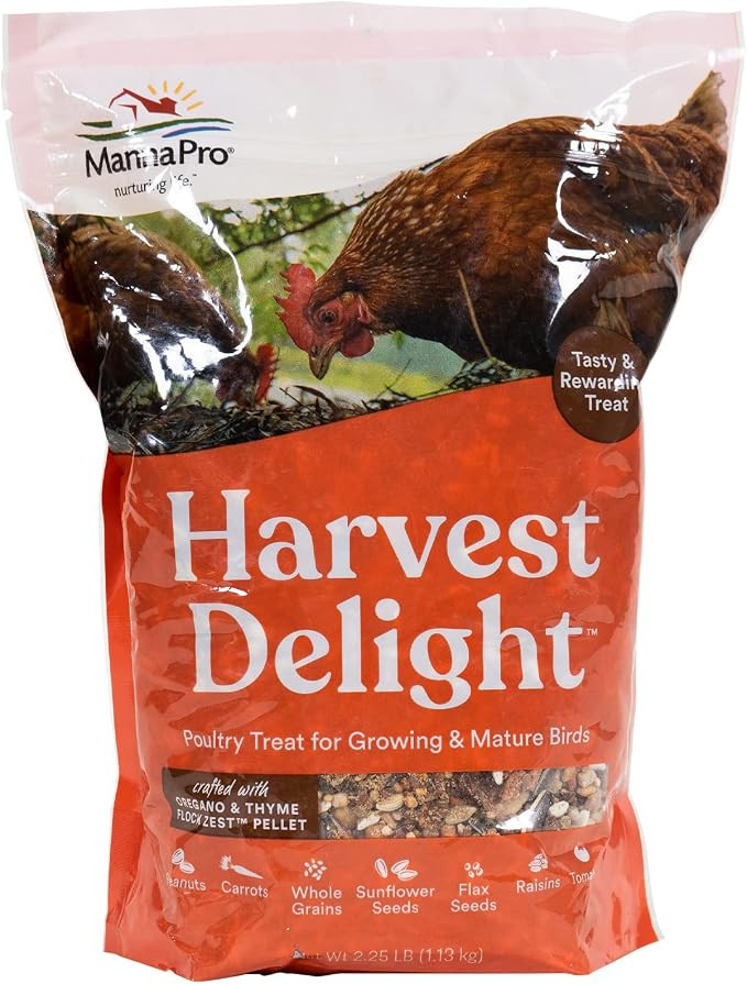 Manna Pro Chicken Treats - Harvest Delight Chicken Scratch - Chicken Feed Treat - Chicken Scratch... | Amazon (US)