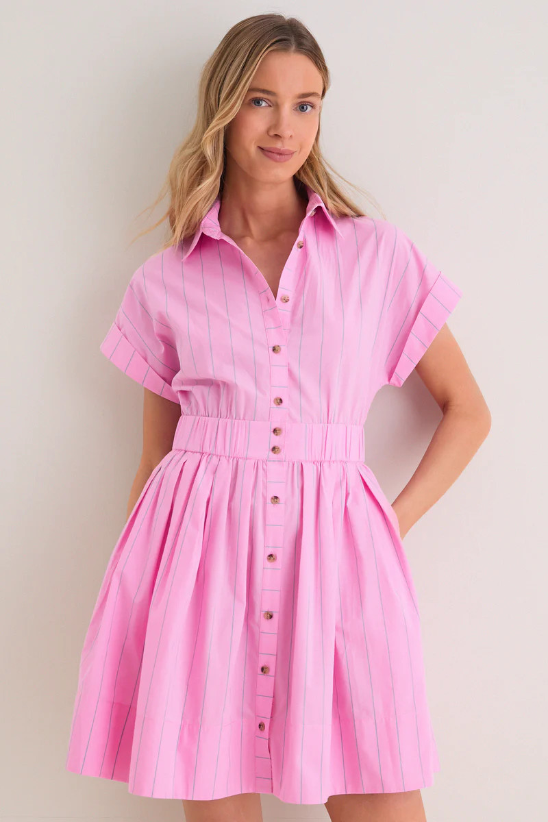 Watermelon Stripe Howard Dress | Tuckernuck (US)