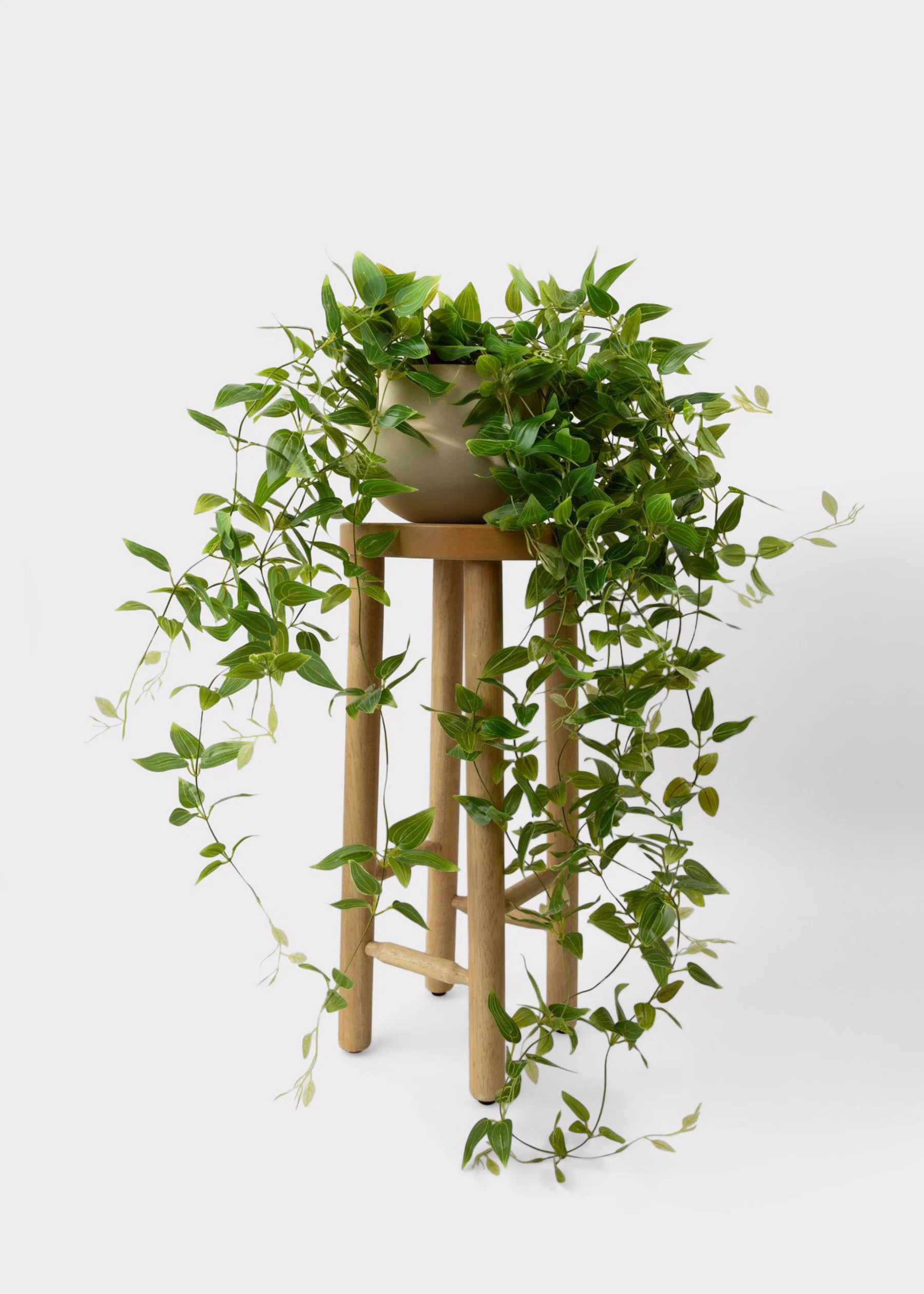 Artificial Plants | Tradescantia Hanging House Plant | Afloral.com | Afloral