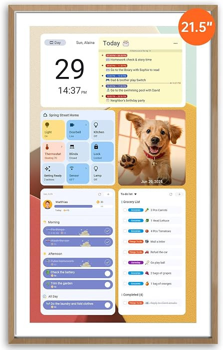 Apolosign 21.5-inch Digital Calendar, Smart Wall Planner with Calendar Sync, Chore Chart, Meal, I... | Amazon (US)