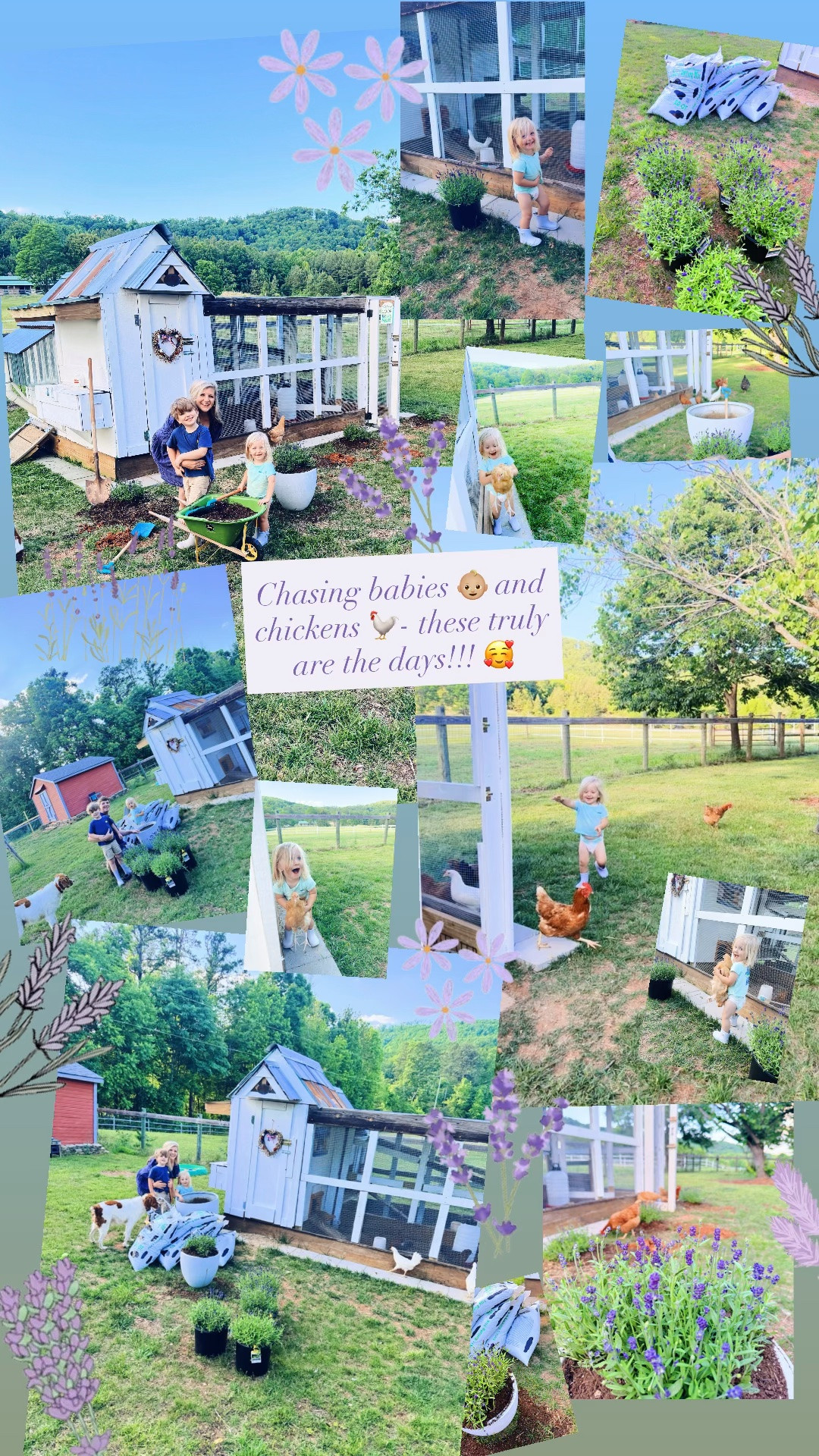 Chasing babies 👶🏼 and chickens 🐓- these truly are the days!!! 🥰

#LTKdayinmylife #LTKmomlife