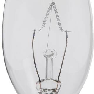 Sylvania 25-Watt Double Life B10 Incandescent Light Bulb (4-Pack) 10611 | The Home Depot