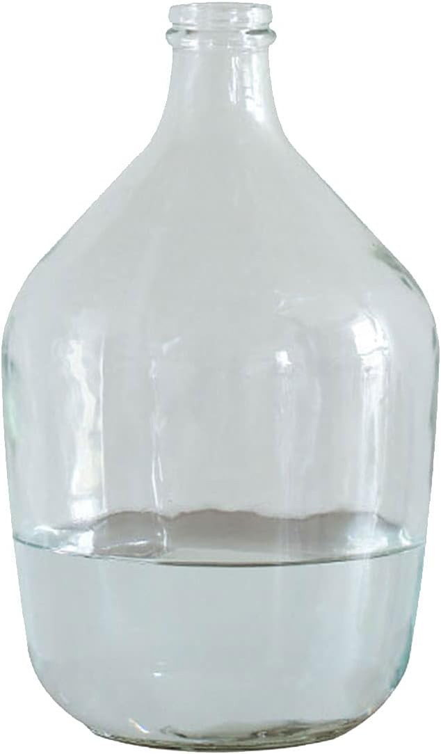 kutuuhome Clear Glass Vase Hand Transparent Glass Vases for Decor Large Bubble Vintage Floor Vase... | Amazon (US)