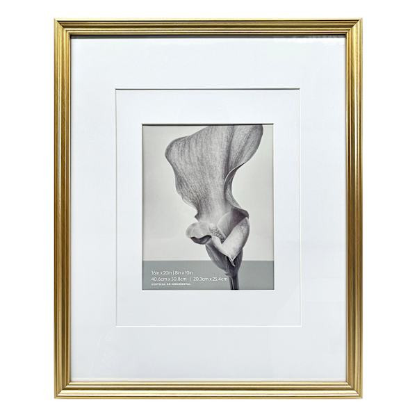 16x20 Gold Ornate Matted to 8x10 Wall Frame | At Home