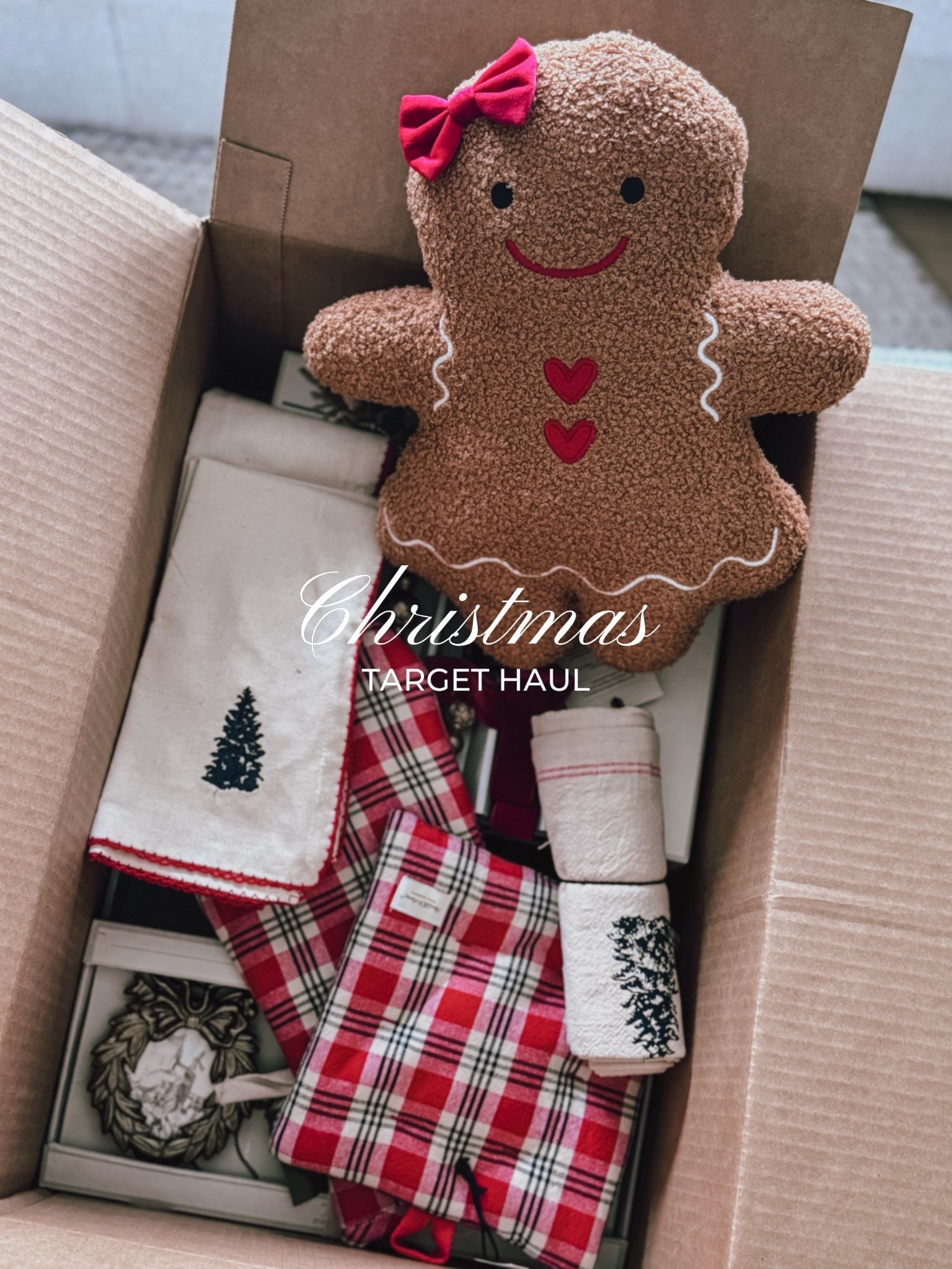 Christmas Target Haul #christmasfinds #christmasdecor #decorations 

#LTKHome #LTKHoliday #LTKSeasonal