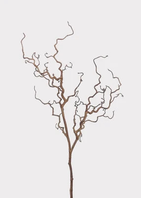 Dried Look Artificial Tall Branch - 47" | Afloral