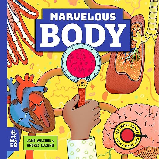 Marvelous Body: A Magic Lens Book (Marvelous Magic Lens)      Hardcover – Picture Book, June 21... | Amazon (US)