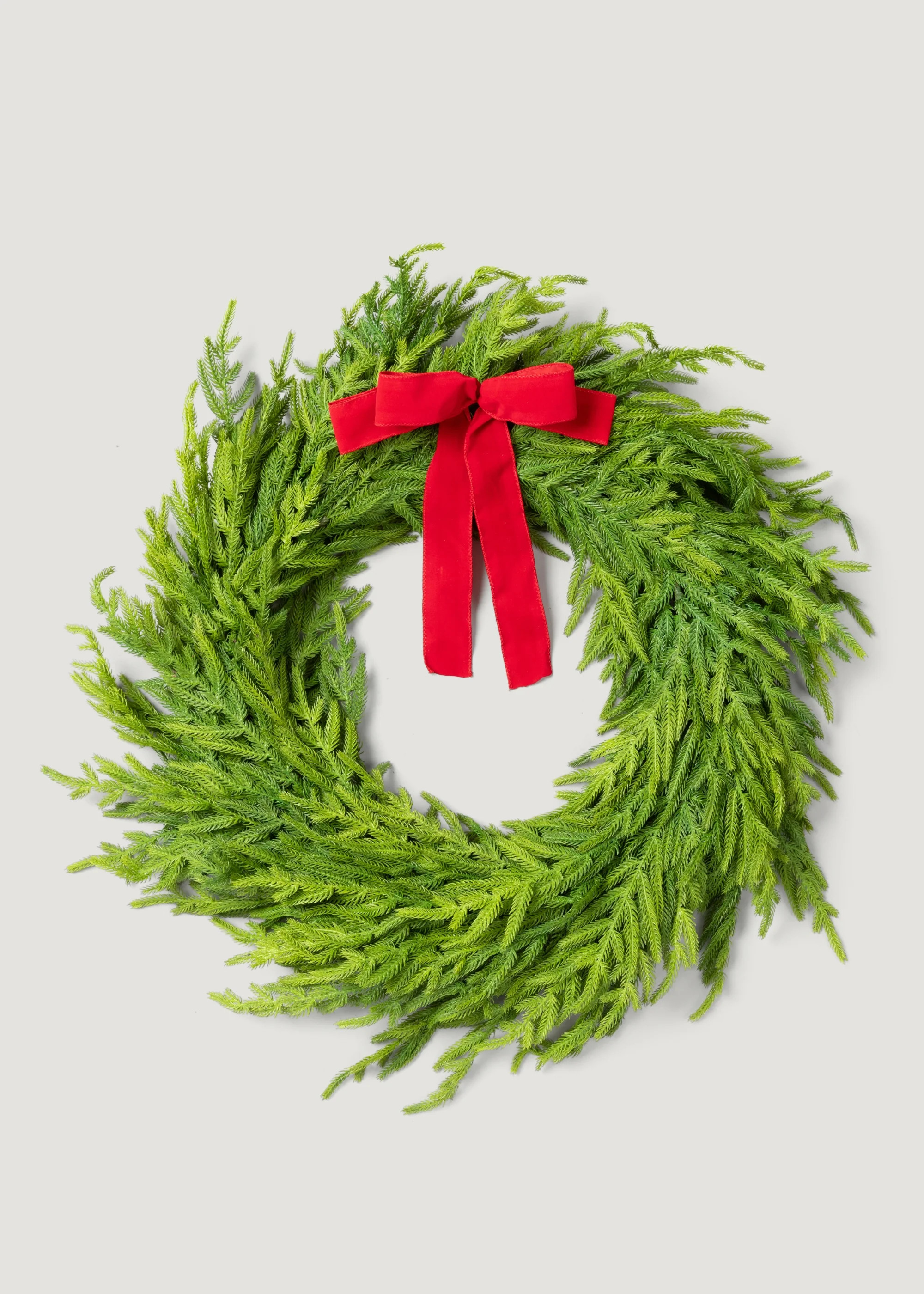 Artificial Norfolk Pine Wreath with Bow | Holiday Wreaths at Afloral | Afloral