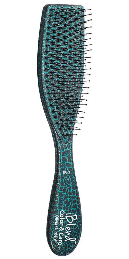 Olivia Garden iBlend Hair Brush For Color & Treatments | Amazon (US)