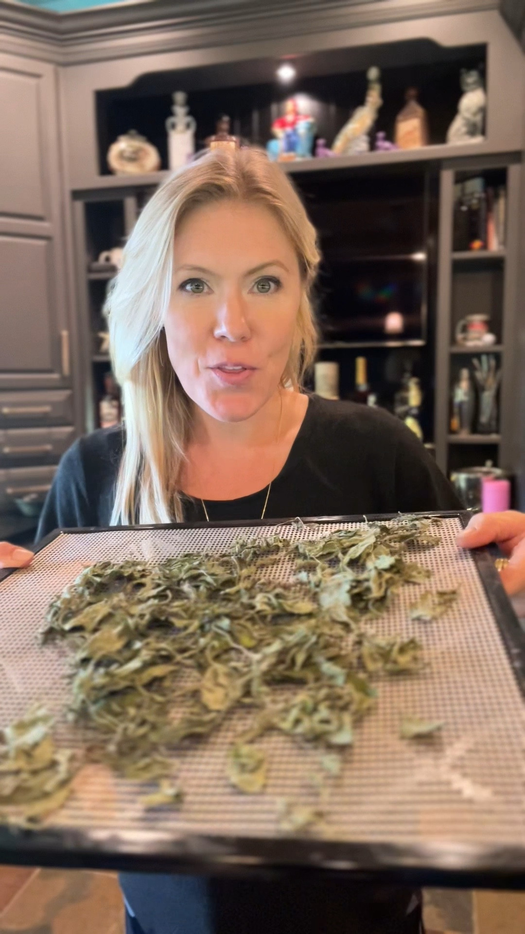 Drying and preserving herbs the easy way! #kitchengadgets

#LTKFamily #LTKSeasonal #LTKHome