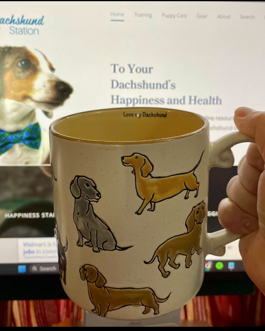 Sipping in style with this adorable dachshund mug! Found at Tj maxx.🐾☕ #DoxieFind 
#dachshundmom

#LTKHome #LTKPets #LTKGiftGuide