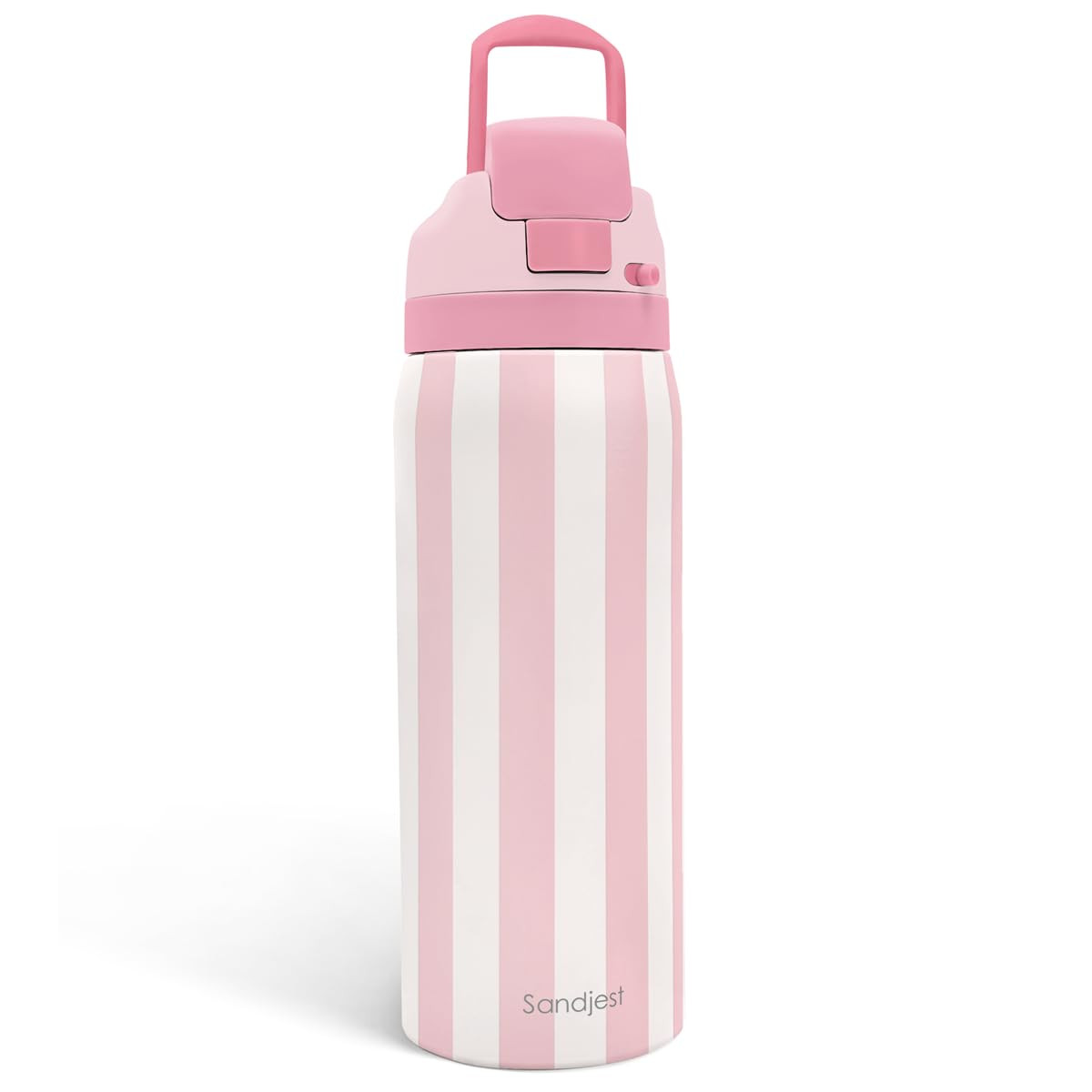 Stripe Insulated Stainless Steel Water Bottle with Straw, Push-Button Lid, 32 Ounce, Gifts for Wo... | Amazon (US)