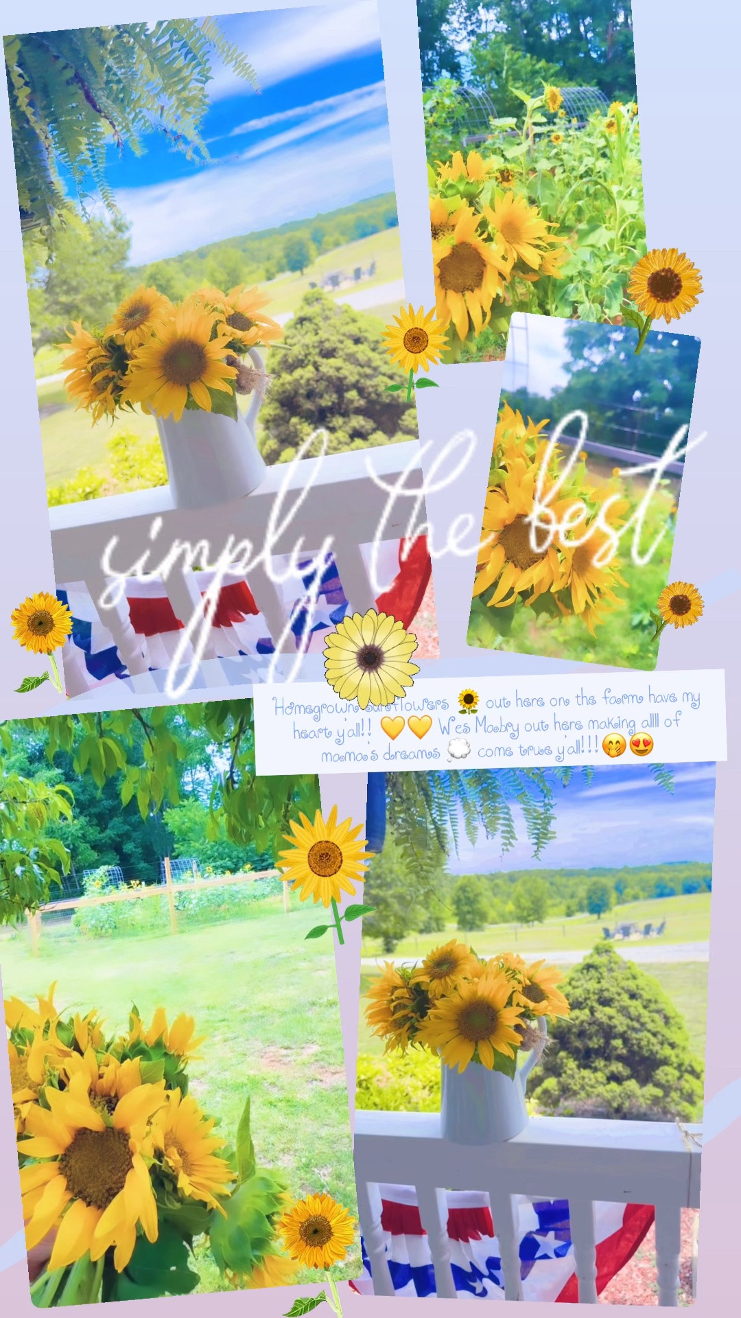 Homegrown sunflowers 🌻 out here on the farm have my heart y’all!! 💛💛 Wes Mabry out here making allll of mama’s dreams 💭 come true y’all!!!🤭😍