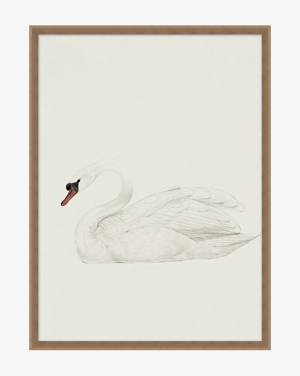 Neutral Swan | McGee & Co.