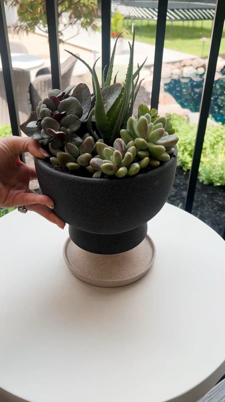 Easily create a succulent bowl with a repotted plant. So easy and the prettiest summer planter! I used real succulents but I also linked some beautiful faux options and some are already in pots! 

#LTKSeasonal #LTKfindsunder50 #LTKhome
