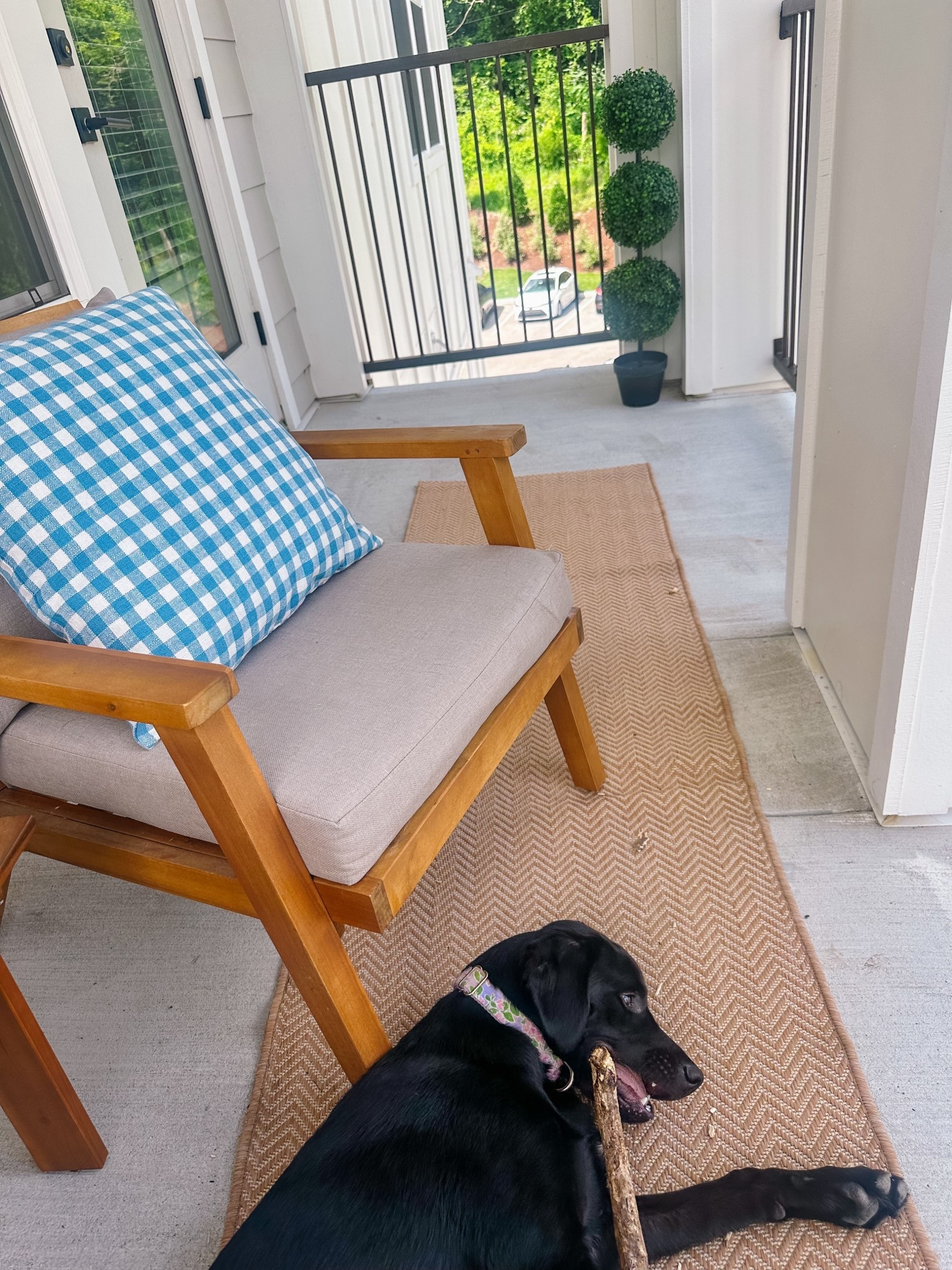 Piper has been asking to go out on the porch any chance she gets!! She sometimes brings sticks home from her walks, and we save them for her out here 🤣 We love porch time with our girl! 

#LTKPets #LTKHome