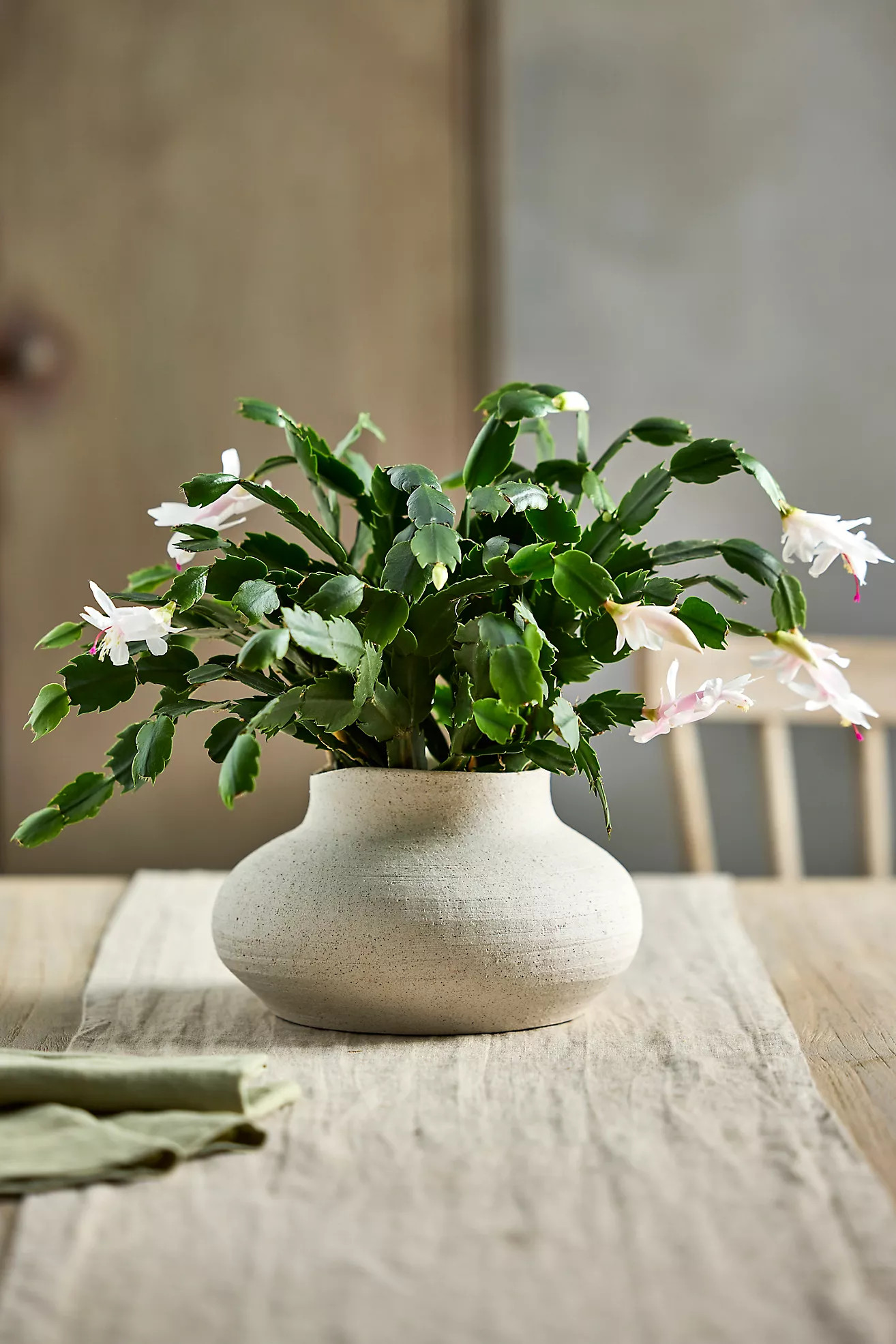 Organic Jar Stoneware Planter | Terrain