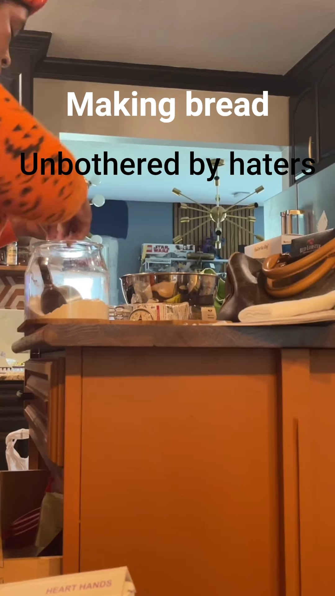 Just living my life wearing my fave Halloween top and Christmas dinosaur pjs, making bread.

Imagine hating someone you don’t know 

It’s weird 

Get a life

I’m living mine one lot of bread, a DIY project and one day at a time