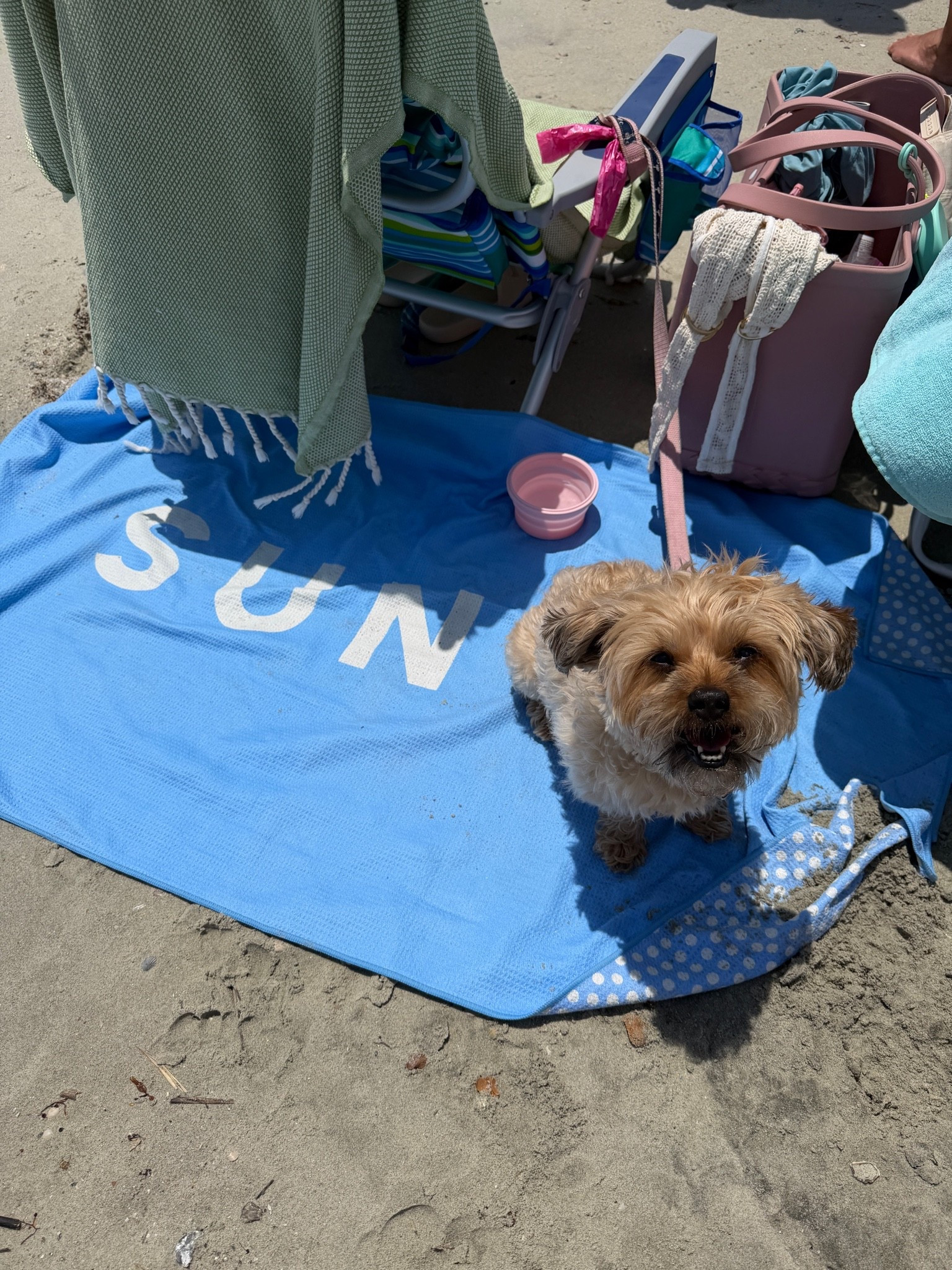 Sharing some of my favorite beach essentials!

#LTKSwim #LTKTravel #LTKdayinmylife
