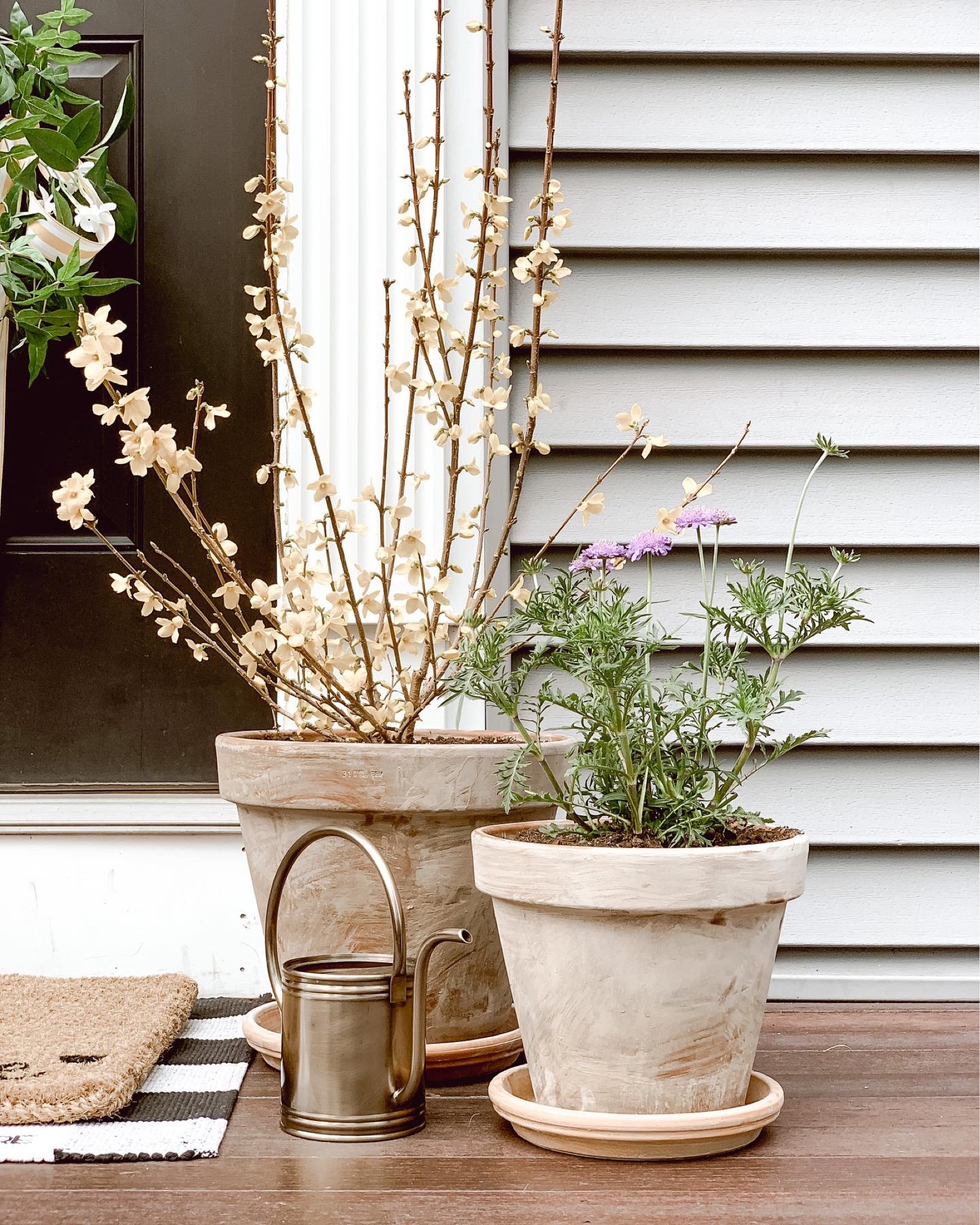 Aged terracotta pots for spring flowers. 

#LTKhome #LTKstyletip #LTKSeasonal