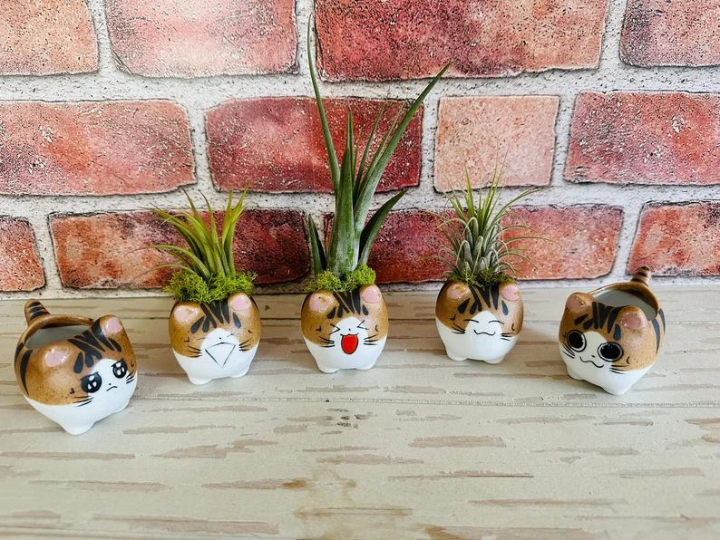 Tiny Ceramic Cat Planters - Air Plant Holders | Etsy (US)