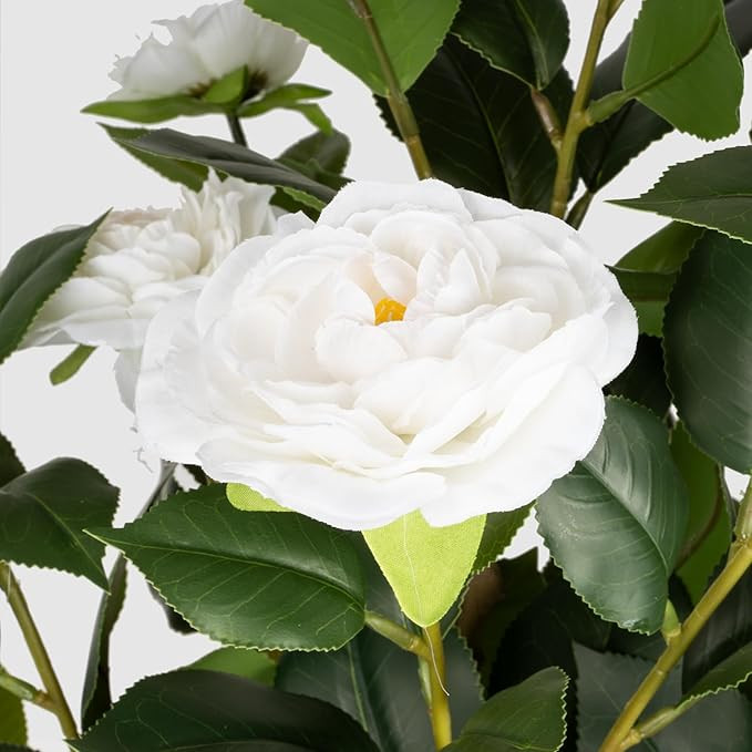 2Pack Artificial Camellia Tree 3FT, White Faux Camellia Plant Fake Potted Camellia Flower Tree Pl... | Amazon (US)