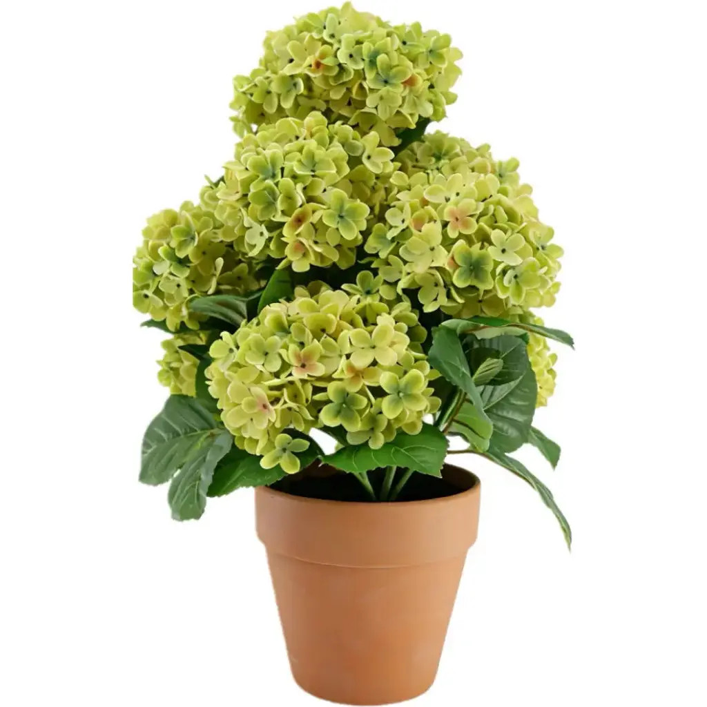 CG Hunter 23" Artificial Light Green Potted Hydrangea Plant at Nordstrom | Nordstrom