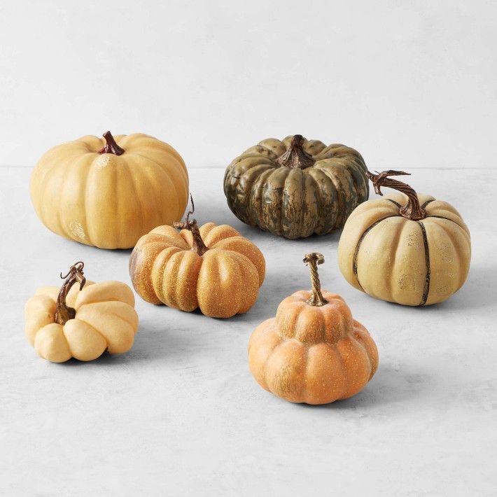 Le Potiron Faux French Pumpkin Collection, Set of 6 | Williams-Sonoma