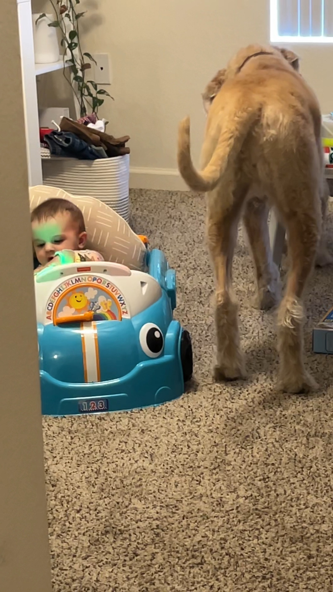 Baby and dog love this toy😂😂 it has different learning levels and skills so your kids will still want to play as they grow! 

#LTKbaby #LTKkids