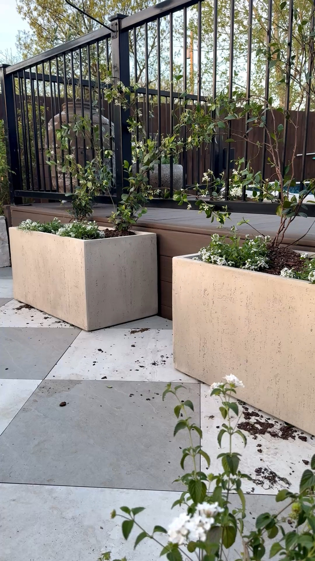 New LARGE lightweight concrete outdoor planter boxes. I just got them in on Monday, opened and planted immediately. I did star Jasmine to grow up my railing and sweet alyssum in the fronts of the boxes  