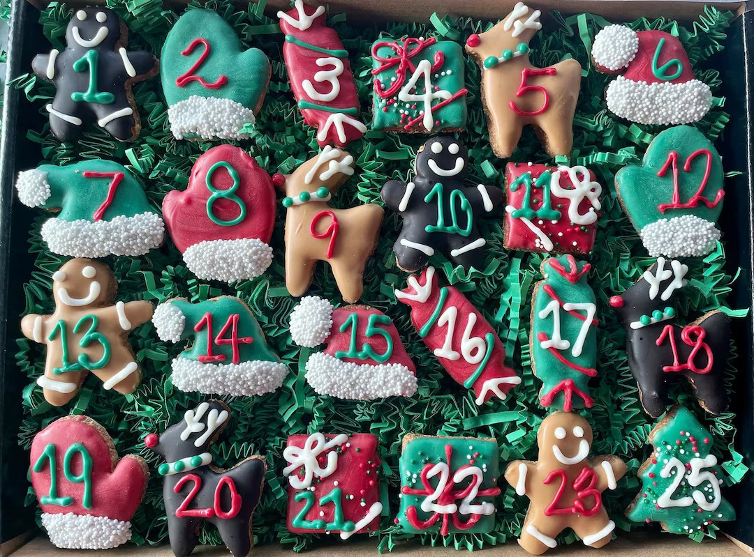 Christmas Dog Treat Gift Box Santa Paws PERSONALIZED 25 Days - Etsy | Etsy (US)