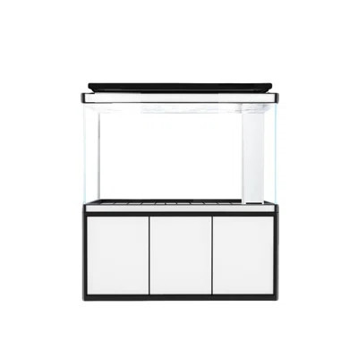 Simple Modern Rectangular Eco Aquarium Tank | Wayfair North America