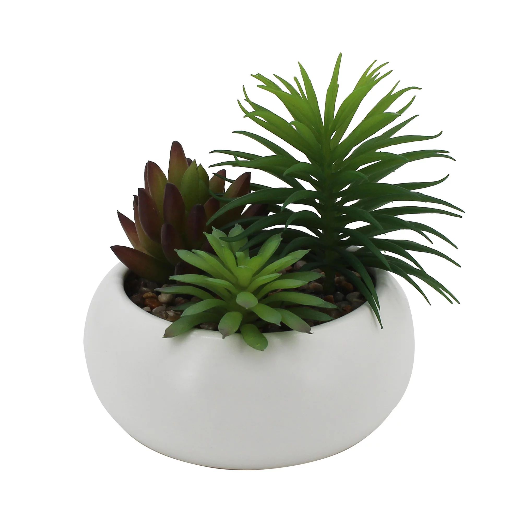 Mainstays 4.75" Succulent Arrangement in White Ceramic Planter, Green | Walmart (US)