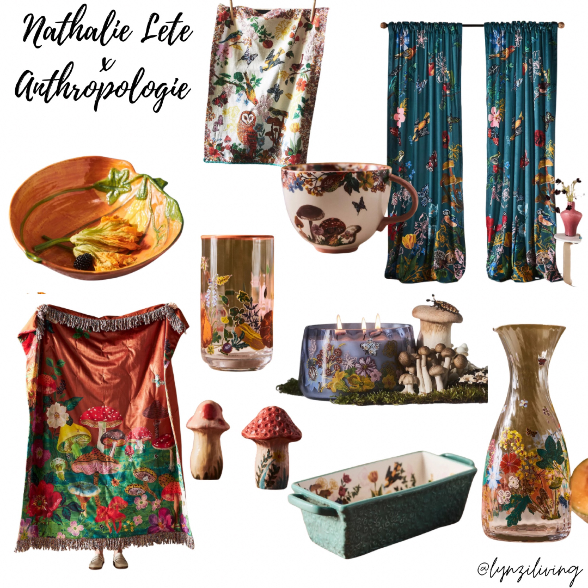 anthropologie  nathalie-lete