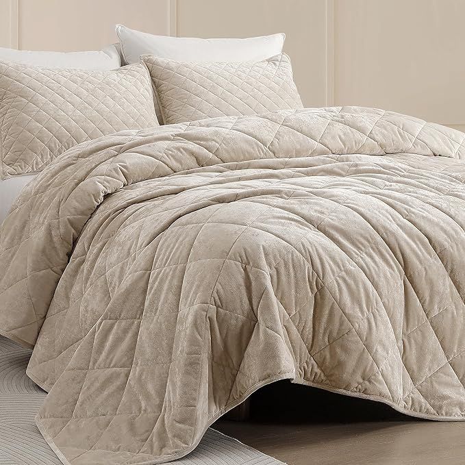 SHALALA Beige Velvet Comforter,Queen Bedding Quilt Sets,Lightweight Comforters,Reversible Luxury ... | Amazon (US)