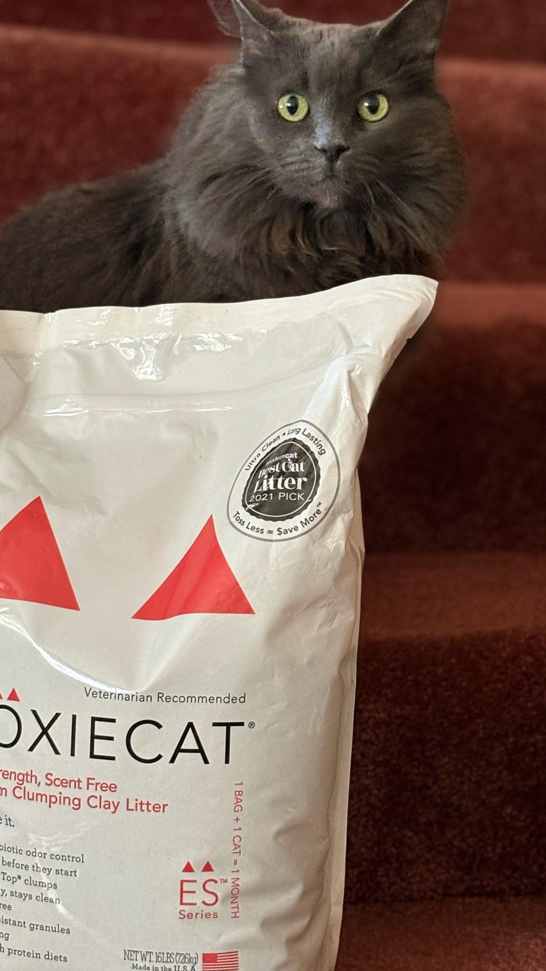 Azzy said luxury takes time 😼💅 Everyone else can just wait their turn at the Boxiecat throne.

#LTKPets