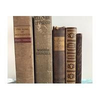 Vintage Books in Brown, Set of 4 Books, Build Your Own Library, Bookshelf Design, Housewarming Gift, Reader Writer Professor Student | Etsy (US)