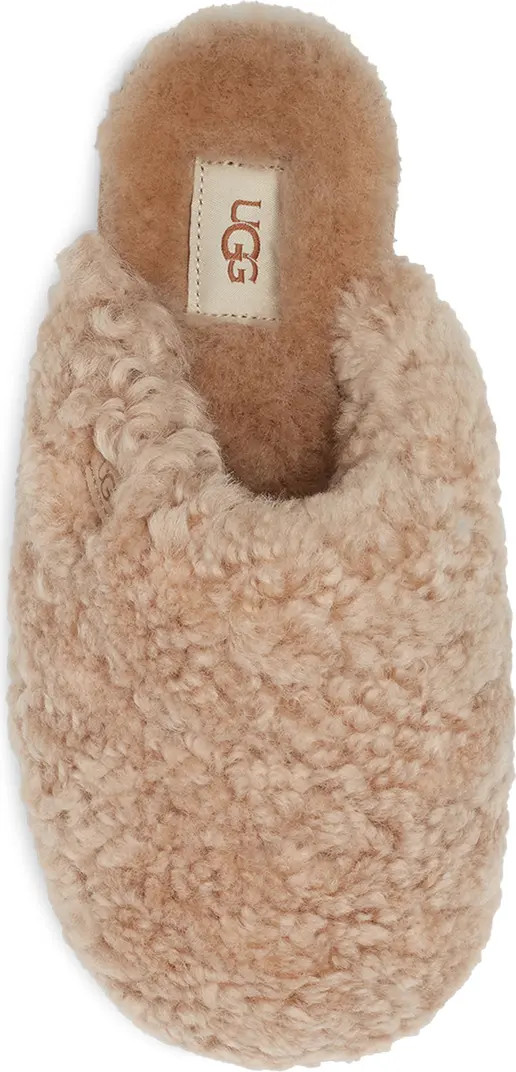 UGG® Maxi Curly Genuine Shearling Clog | Nordstrom | Nordstrom
