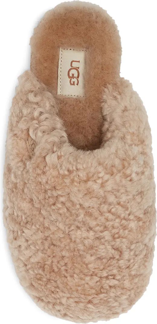 Maxi Curly Genuine Shearling Clog | Nordstrom