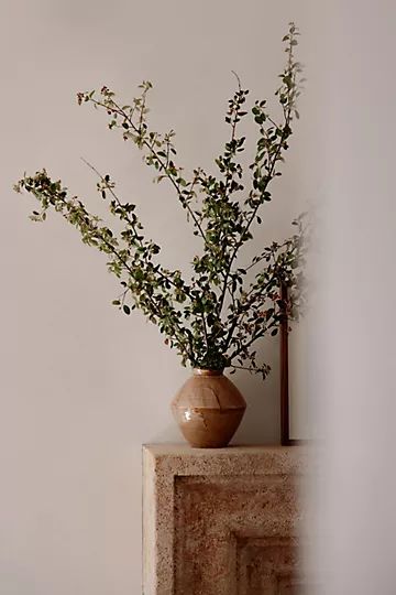 Amber Lewis for Anthropologie Vase | Anthropologie (US)